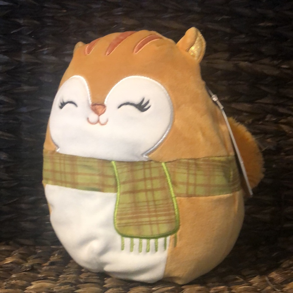 SALE ❤️ NWT Squishmallows Erin the Squirrel Fall collection Stuffed Plush - Picture 2 of 11